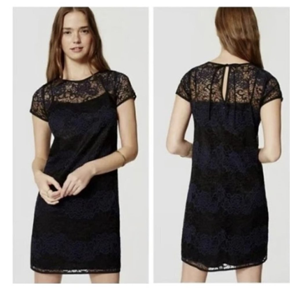 Ann Taylor Loft Short Sleeve Lace Floral Color Block Black And Blue Shift Dress